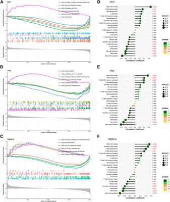 Identification and validation of disulfidptosis-associated molecular clusters in non-alcoholic fatty liver disease